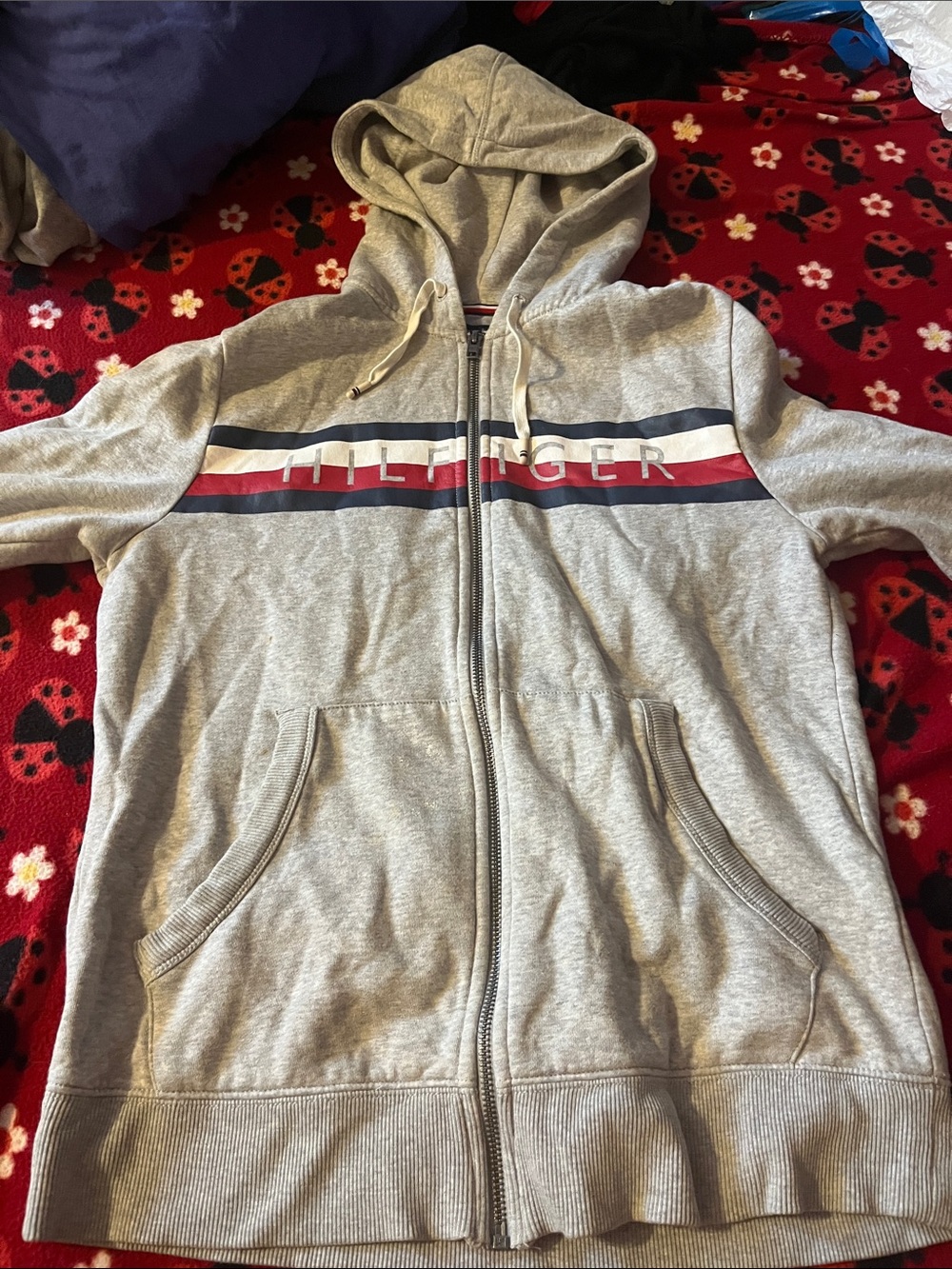 Tommy Hilfiger Light Gray Zip Hoodie with Red & Navy Trim